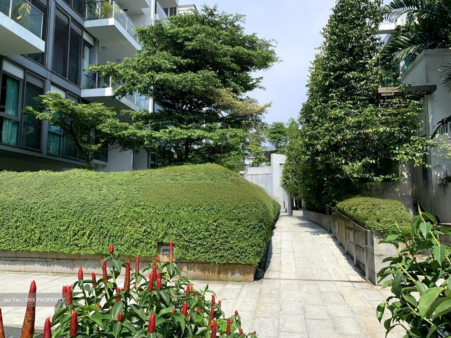 Verdure (D10), Condominium #483363421